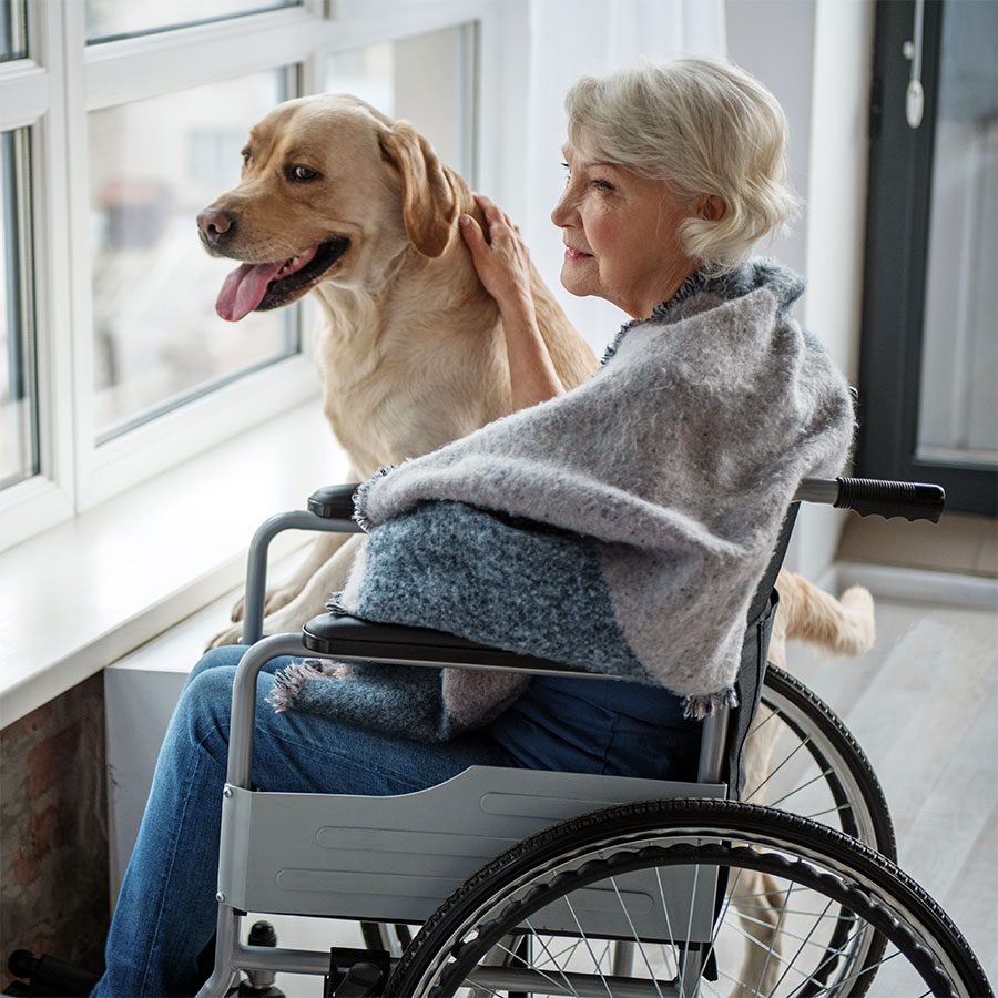 Elderly Woman In Wheelchair With Her Dog
