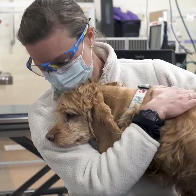 urgent vet with dog
