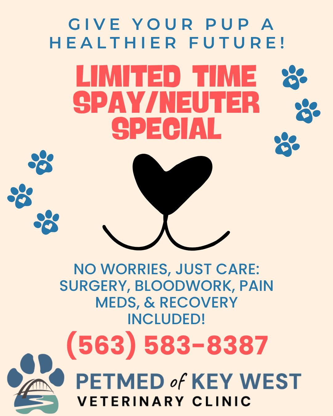 Limited Time Spay And Neuter Special For Dogs Limited Time Spay And Neuter Special For Dogs