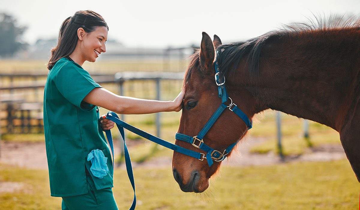 Female Veterinarian With Horse