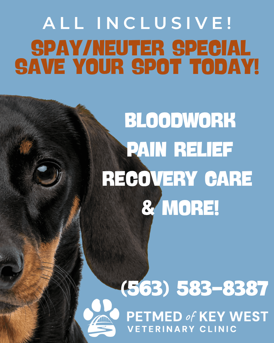 Spay And Neuter Special Save Your Spot Today Spay And Neuter Special Save Your Spot Today