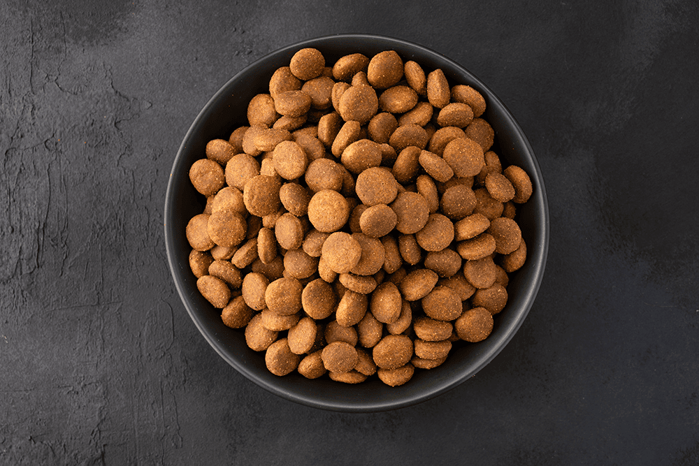 Kibble In Bowl