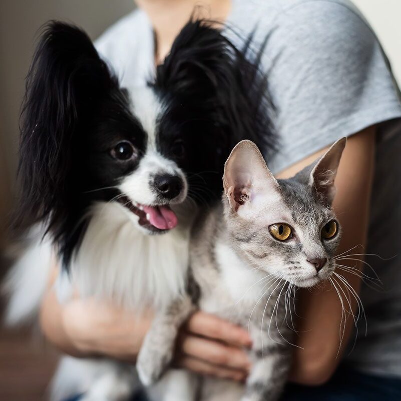 Animal Hospital Near Key West, IA dog and cat in owner's arms