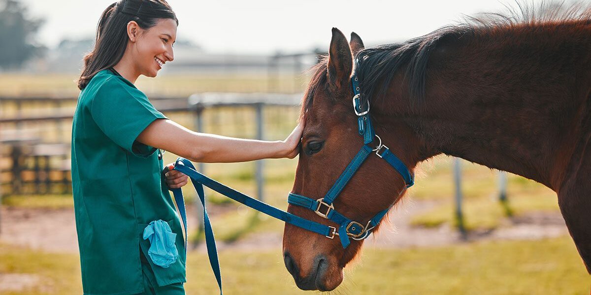Female Veterinarian With Horse Female Veterinarian With Horse