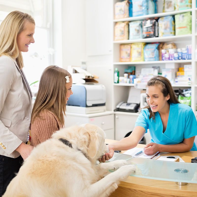 happy female customer service representative sitting at front desk greeting clients with dog